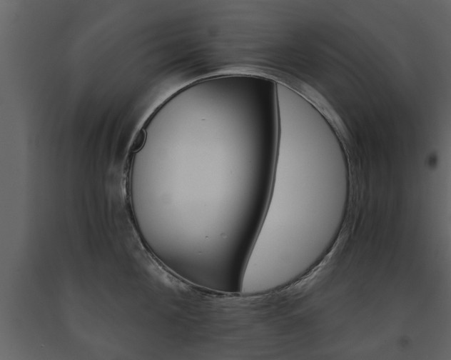 X0000091680908200708231105