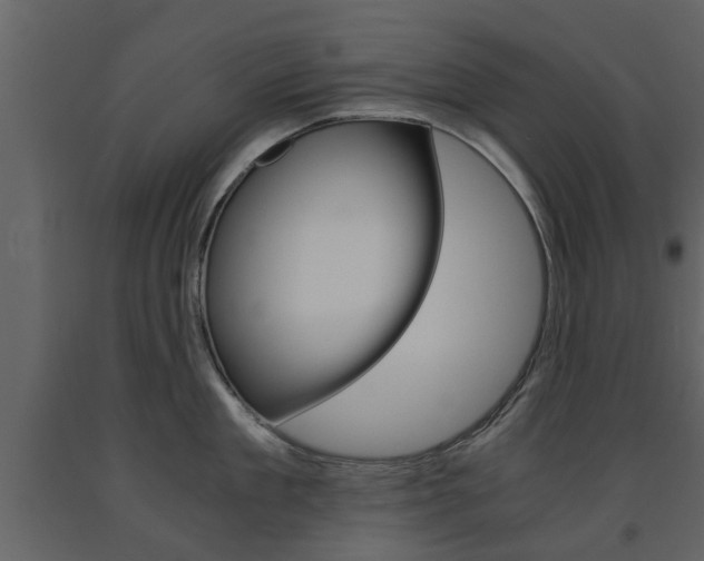 X0000091680909200708231105