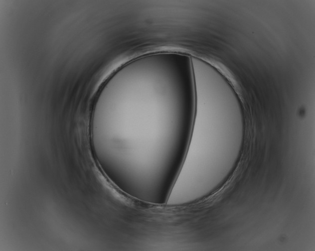 X0000091680910200708231105