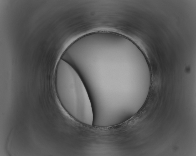 X0000091680911200708231105