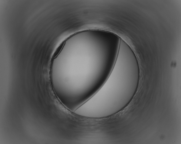 X0000091680912200708231105