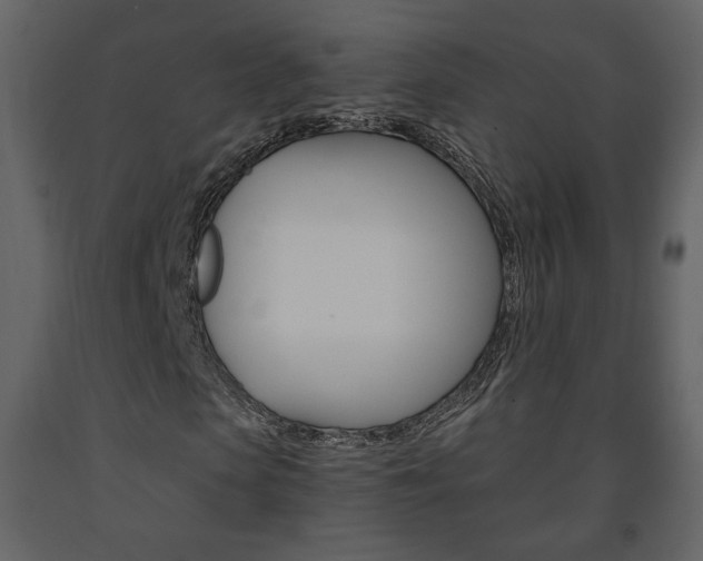 X0000091680913200708231104