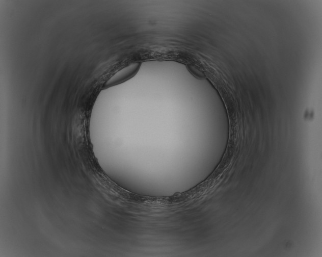 X0000091680914200708231104