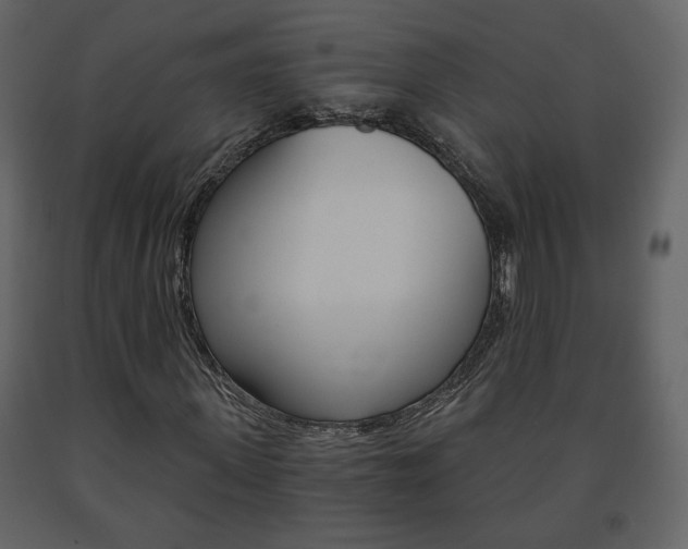 X0000091680915200708231104
