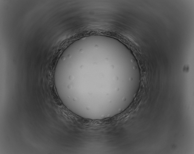 X0000091680917200708231104