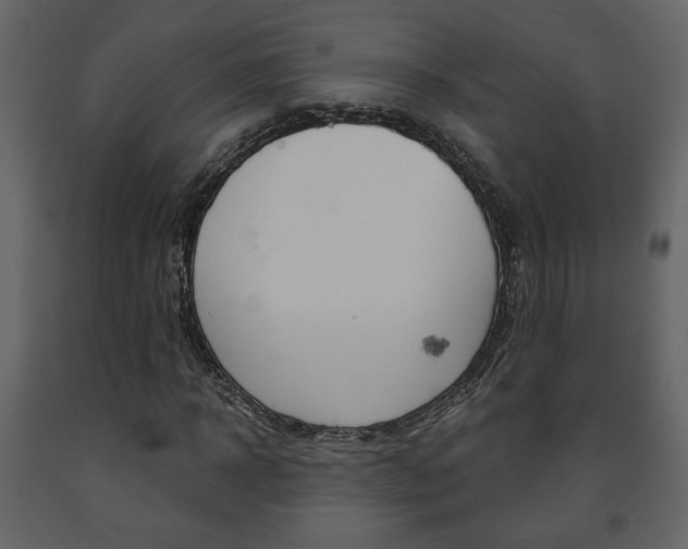 X0000091680918200708231104