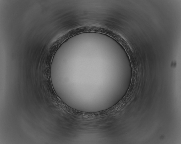 X0000091680919200708231104