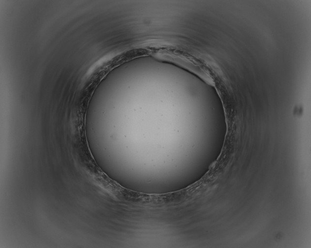 X0000091680920200708231104
