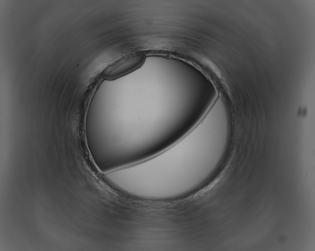 X0000091680922200708231104
