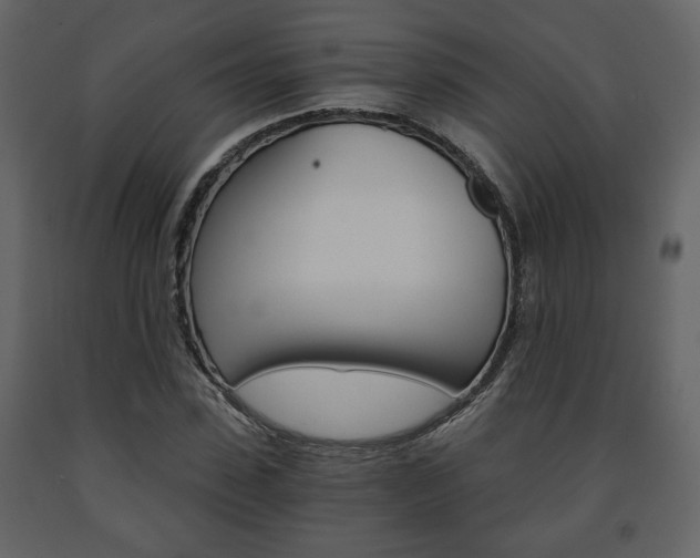 X0000091680923200708231104