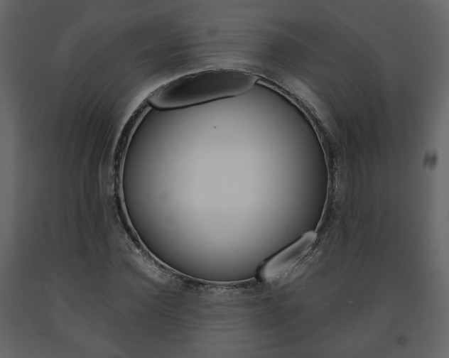 X0000091680924200708231104