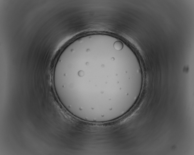 X0000091680925200708231104