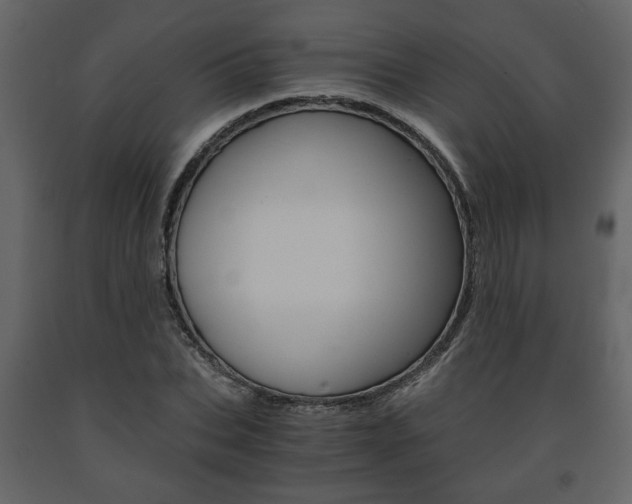 X0000091680927200708231104
