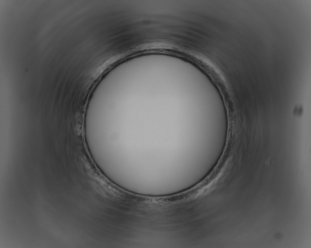 X0000091680929200708231104