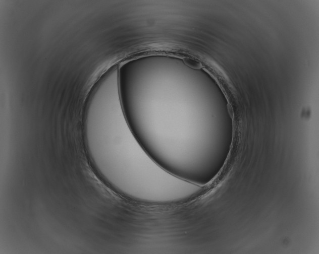 X0000091680930200708231104