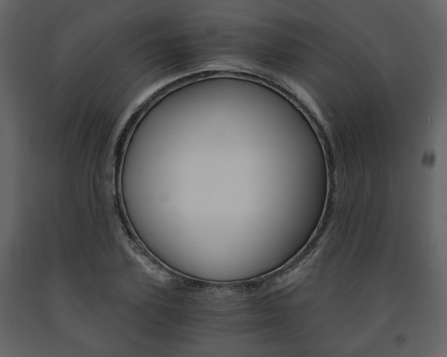 X0000091680931200708231104