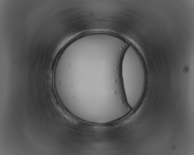 X0000091680933200708231104