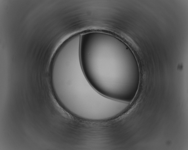 X0000091680934200708231104