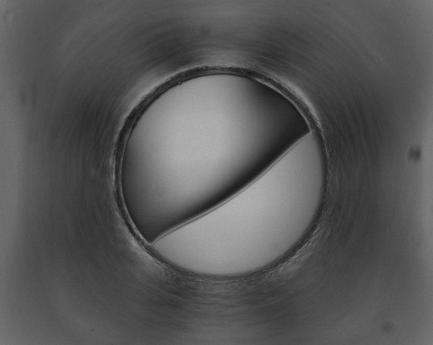 X0000091680935200708231104