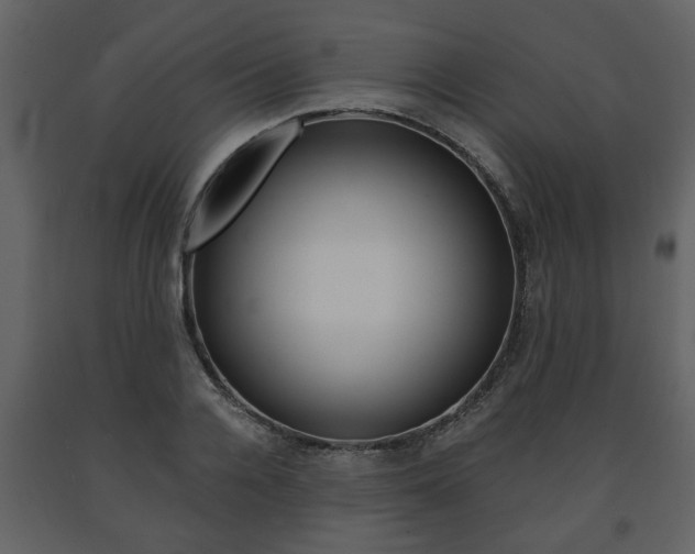 X0000091680936200708231104