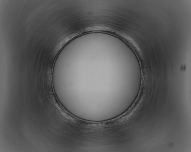 X0000091680937200708231104