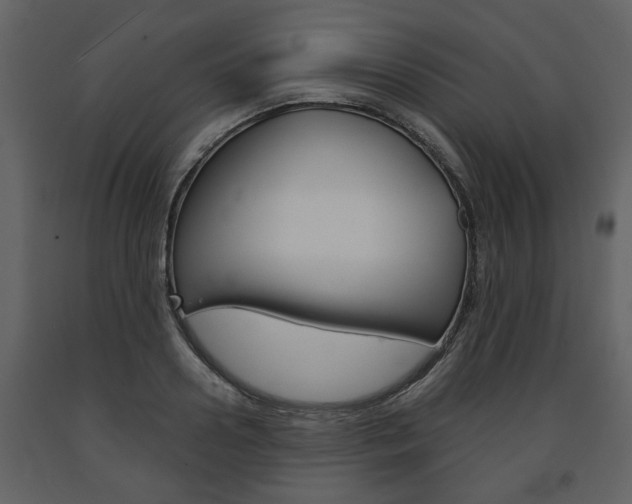 X0000091680938200708231104