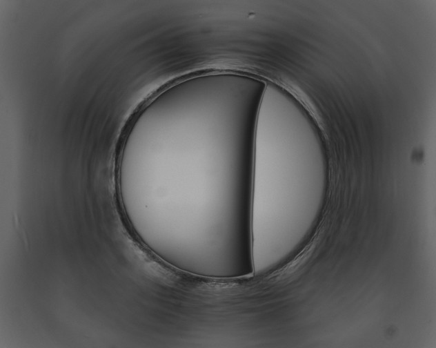 X0000091680939200708231104