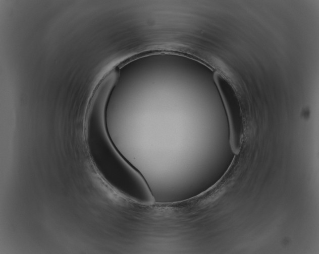 X0000091680940200708231104