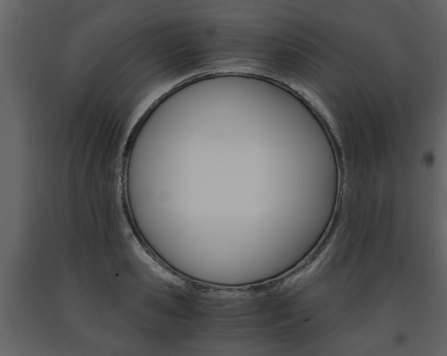 X0000091680941200708231104