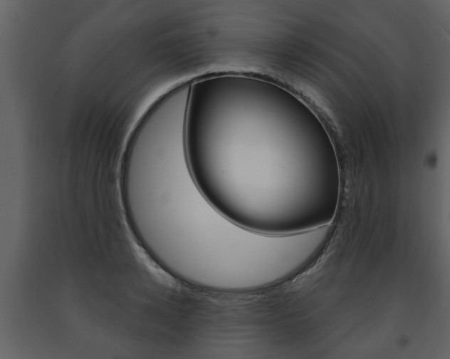 X0000091680942200708231104