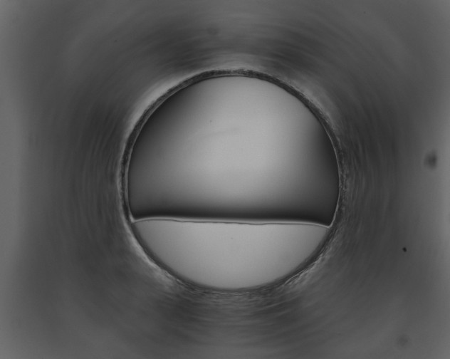X0000091680943200708231104