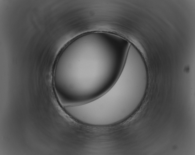 X0000091680944200708231104