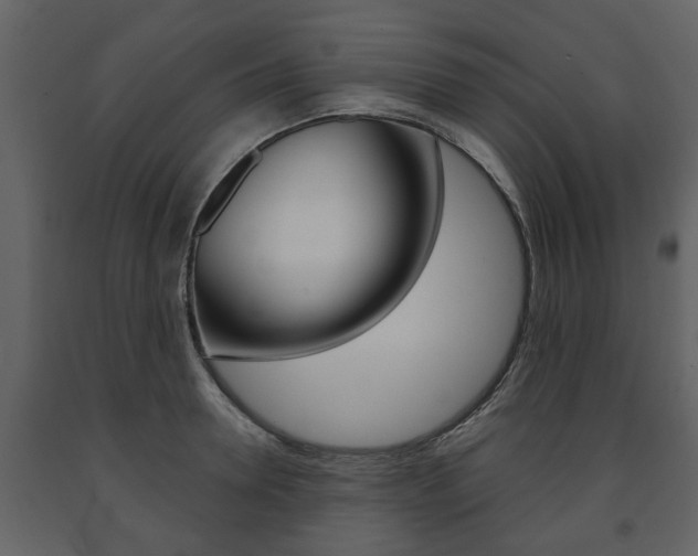 X0000091680946200708231104