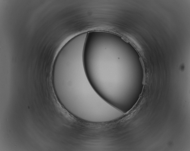X0000091680948200708231104