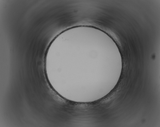X0000091680950200708231104