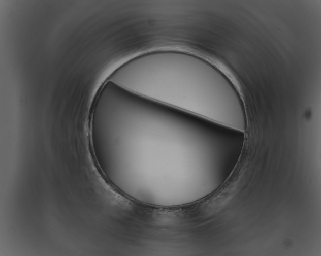 X0000091680951200708231104