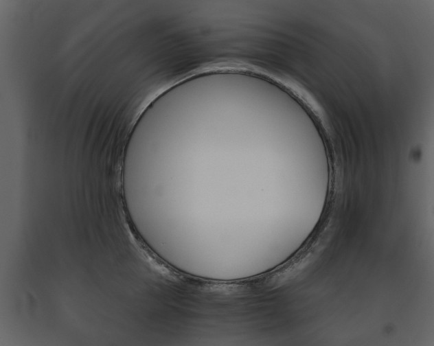 X0000091680953200708231104