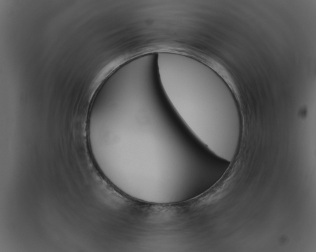 X0000091680954200708231105