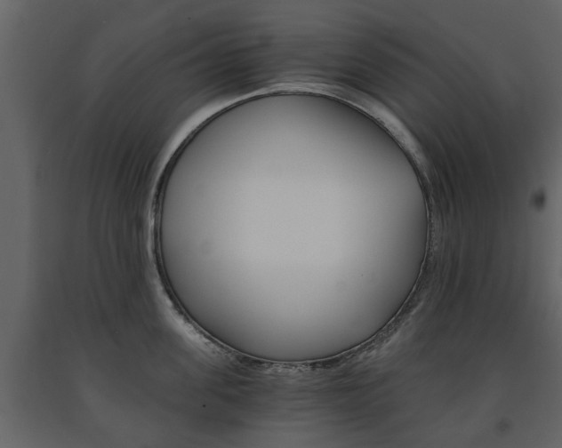 X0000091680955200708231105
