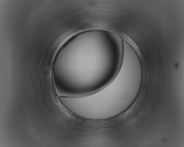 X0000091680956200708231105