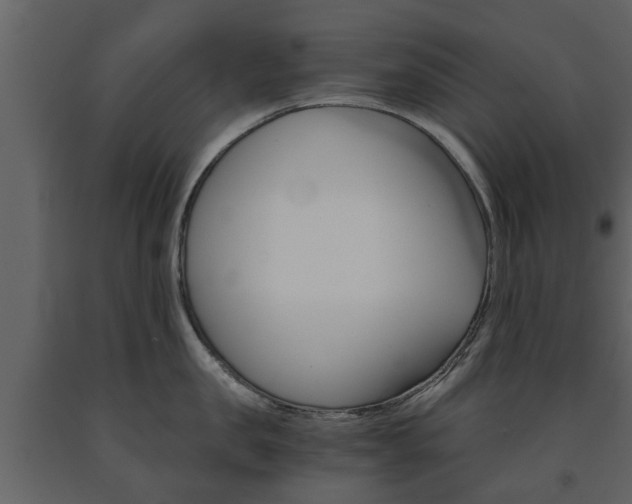 X0000091680957200708231105