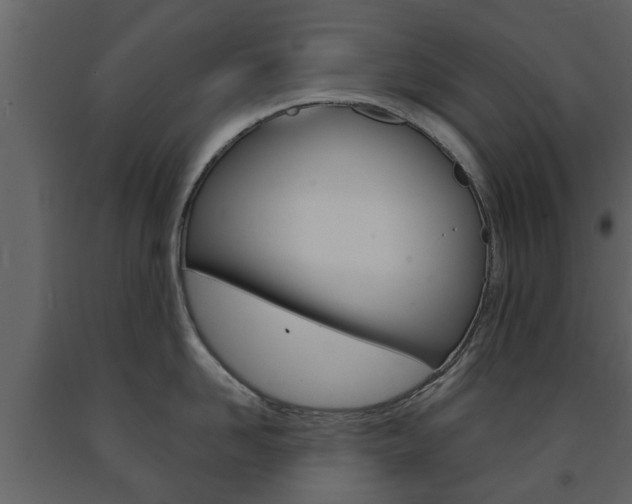 X0000091680958200708231105
