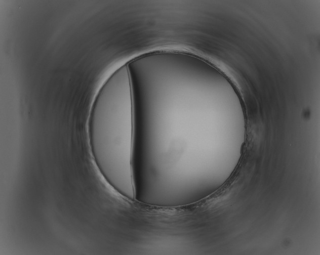 X0000091680959200708231105