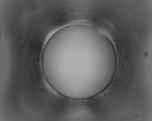 X0000091680960200708231105