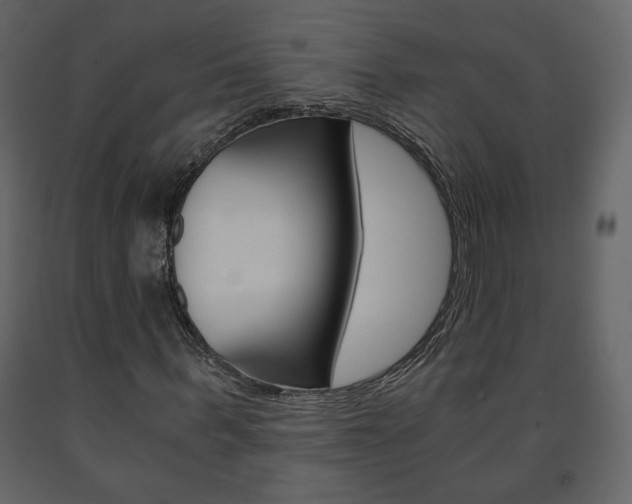 X0000091680963200708231104