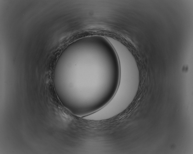 X0000091680965200708231104