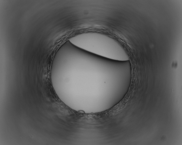 X0000091680966200708231104