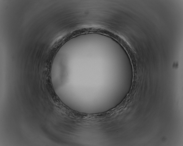 X0000091680967200708231104
