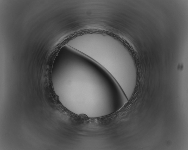 X0000091680968200708231104