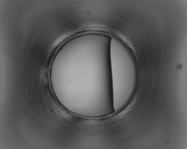 X0000091680970200708231104